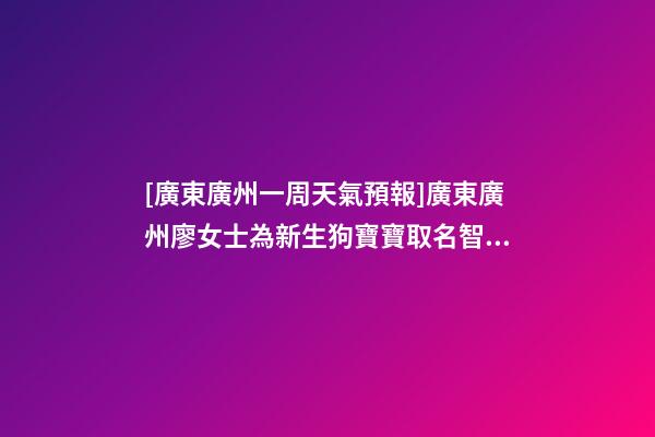[廣東廣州一周天氣預報]廣東廣州廖女士為新生狗寶寶取名智慧型套餐-第1張-公司起名-玄機派